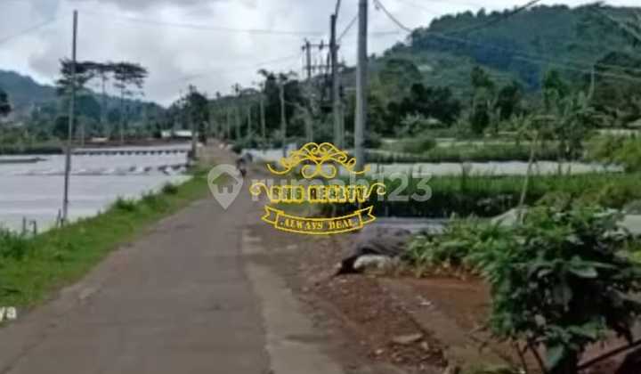 Tanah Jual Lokasi Bedugul Tanah Jual Lokasi Bedugul