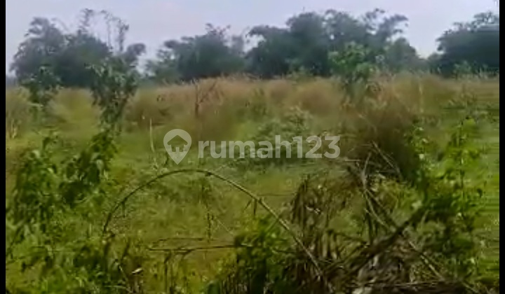 Lahan kosong lokasi strategis