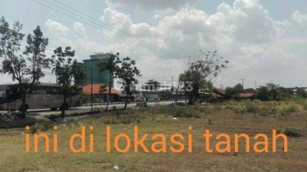 TANAH KAVLING INDUSTRI DI RAYA PANTURA CIREBON 1