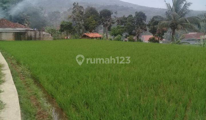 Tanah sawah sangat strategis untuk investasi  2