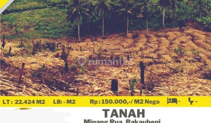 Tanah murah minang Rua Bakau heni siger 1