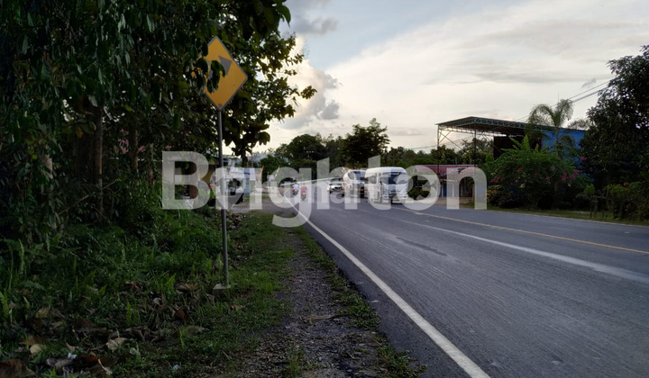 TANAH DEKAT AKSES JALAN KE IKN TANAH DEKAT AKSES JALAN KE IKN