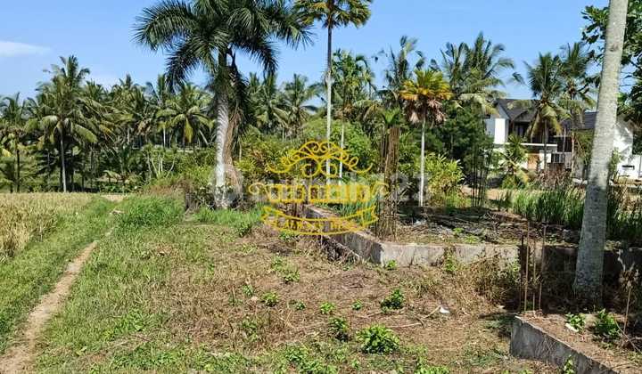 Tanah Jual Lokasi Tegallalalang Tanah Jual Lokasi Tegallalalang