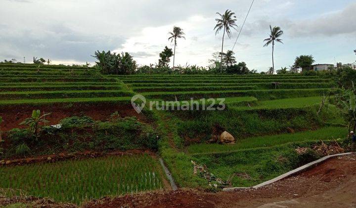 Dijual Segera Tanah Lahan Murah Dengan Luas 8.672m² Di Cipicung Cijeruk Bogor 2