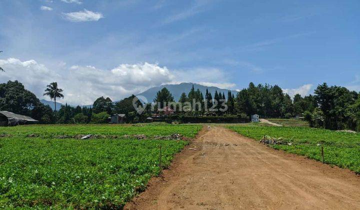 Jual tanah di puncak Cisarua Megamendung dekat JSI  2