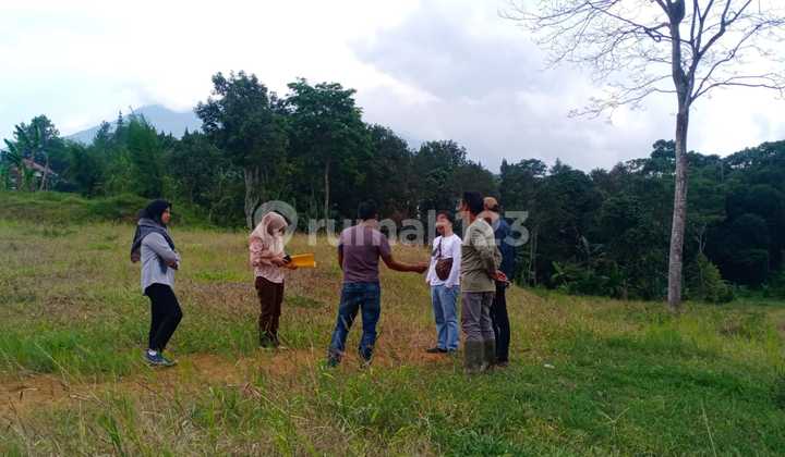 Land 500m² for sale on Munjul Street, Megamendung, Bogor, West Java. Land 500m² for sale on Munjul Street, Megamendung, Bogor, West Java.