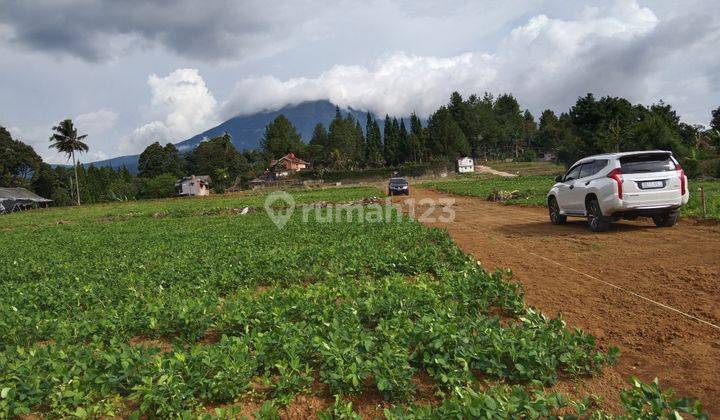 Tanah dijual terdekat tol Gadog di megamendung puncak 1