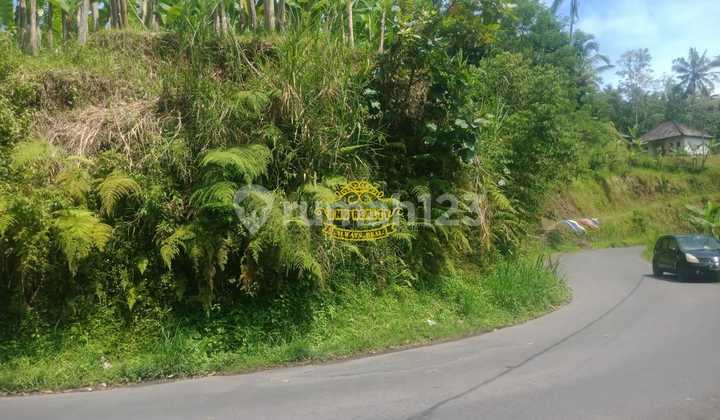 Land for Sale in Puhu Location Land for Sale in Puhu Location