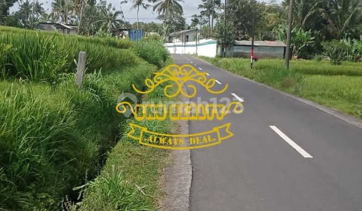 Land for Sale in Puhu Location Land for Sale in Puhu Location