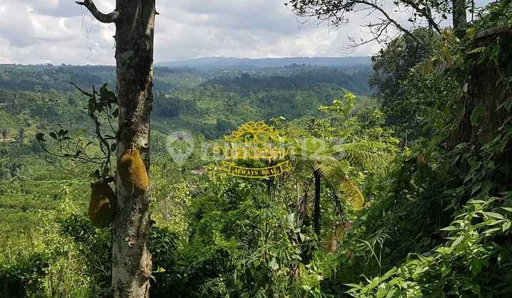 Tanah Jual Lokasi Payangan