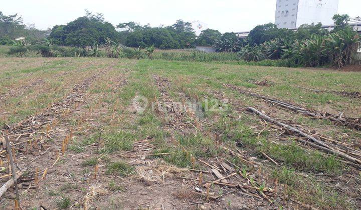 Tanah murah Ir. SUTAMI. Industri pergudangan. Pinggir Jalan Raya. Bandar Lampung 2