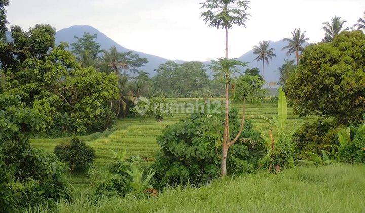 BUC TANAH VIEW GUNUNG, SAWAH DAN SUNGAI TABANAN 1