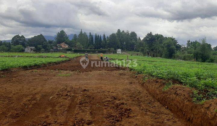 tanah dijual SHM di Megamendung puncak dekat wisata 1