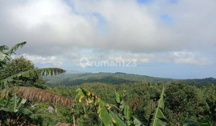 BUC TANAH MURAH VIEW LAUT UTARA BALI 1