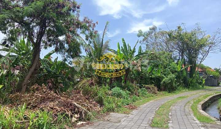 Tanah Jual Lokasi Pandak Gede