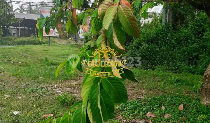 Tanah Jual Lokasi Pering