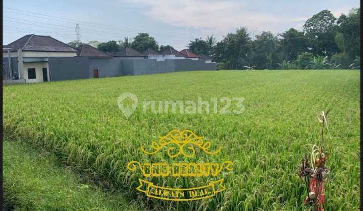 Tanah Jual Lokasi Nyitdah Tanah Jual Lokasi Nyitdah