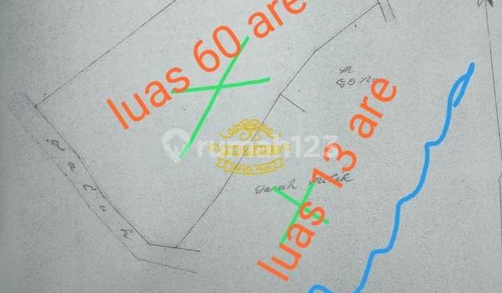 Land for Sale Location Perasi