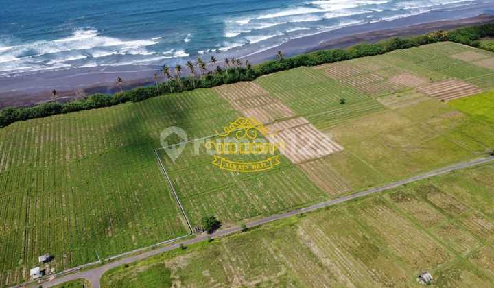 Tanah Jual Lokasi Pekutatan