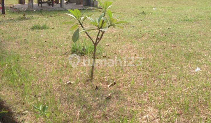 Dijual Cepat Kavling Di Gading Serpong, Sektor 7 B Blok DD 7 ( luas 210 meter ) dan DD 8 ( luas 228 meter) Dijual Cepat Kavling Di Gading Serpong, Sektor 7 B Blok DD 7 ( luas 210 meter ) dan DD 8 ( luas 228 meter)