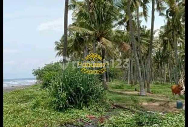 Tanah Jual Lokasi Yeh Embang Tanah Jual Lokasi Yeh Embang