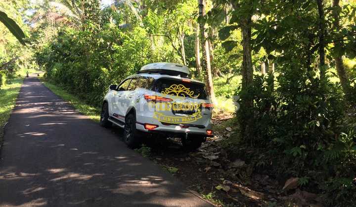 Tanah Jual Lokasi Yehembang Kangin Tanah Jual Lokasi Yehembang Kangin