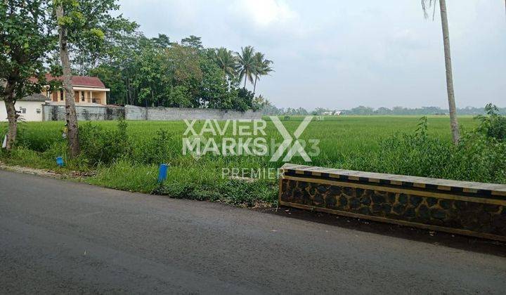 Lahan Tanah Raya Golek Karang Duren Pakisaji Malang 2