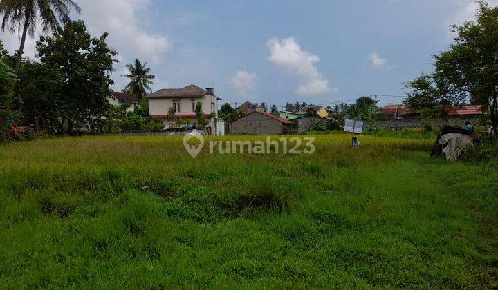 Tanah Sawah Lebak Denok Warnasari 2