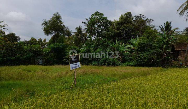 Tanah Sawah Lebak Denok Warnasari 1