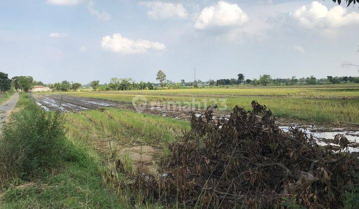 Tanah Industri, Jombang, Bentuk Bagus, Harga Masuk Akal 1