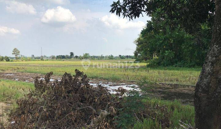 Tanah Industri, Jombang, Bentuk Bagus, Harga Masuk Akal 2