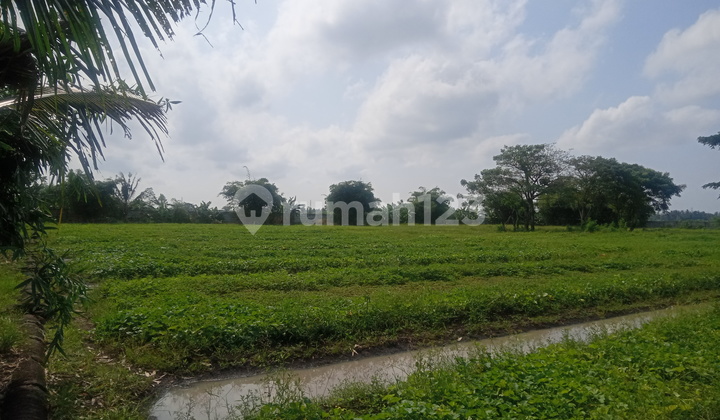 Turun Harga Dijual Cepat Tanah 15.229meter Sepatan Tangerang 1