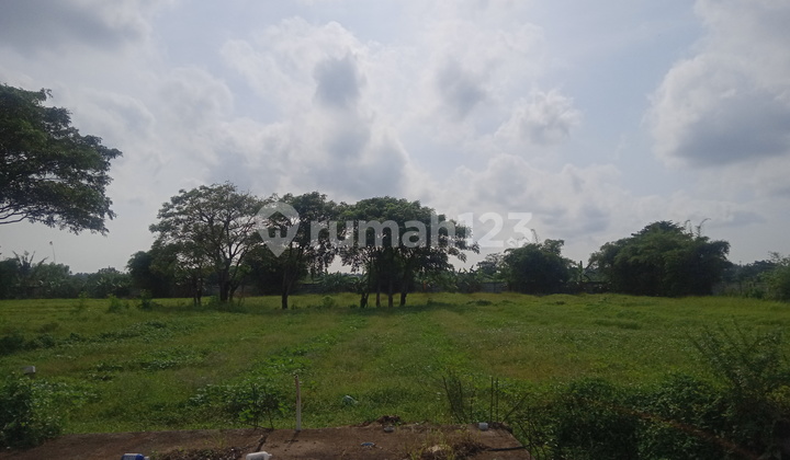 Turun Harga Dijual Cepat Tanah 15.229meter Sepatan Tangerang 2