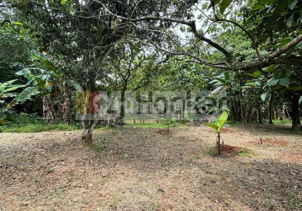 Dijual Murah Tanah di Bojongsari Depok Dijual Murah Tanah di Bojongsari Depok