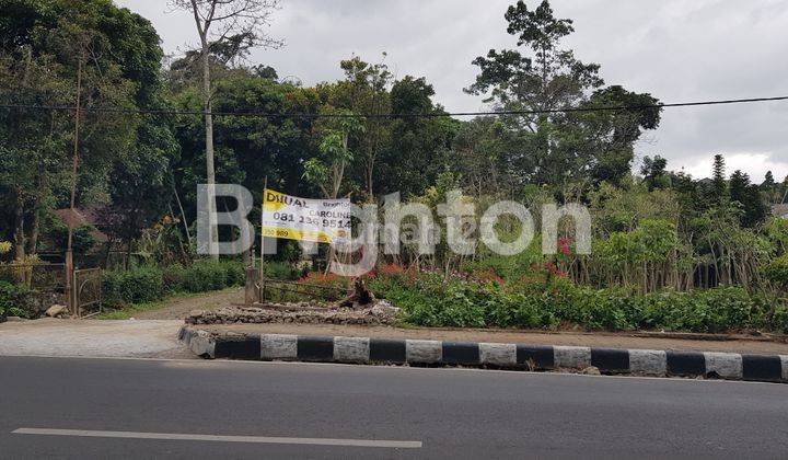 Tanah seberang htl Purnama Batu 1