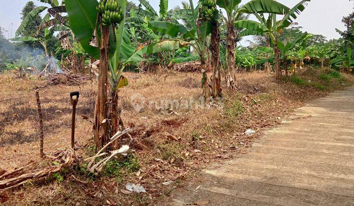 Tanah murah buat investasi ataupun berkebun dicijayanti  1