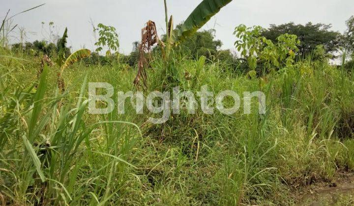 KAVLING JLN BULU JAYA LETAK PERSIS DIBLAKANG PERMHAN GRAHA NATURA 2