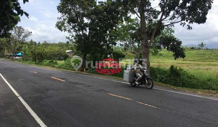 Tanah Jual Lokasi Yeh Embang Tanah Jual Lokasi Yeh Embang