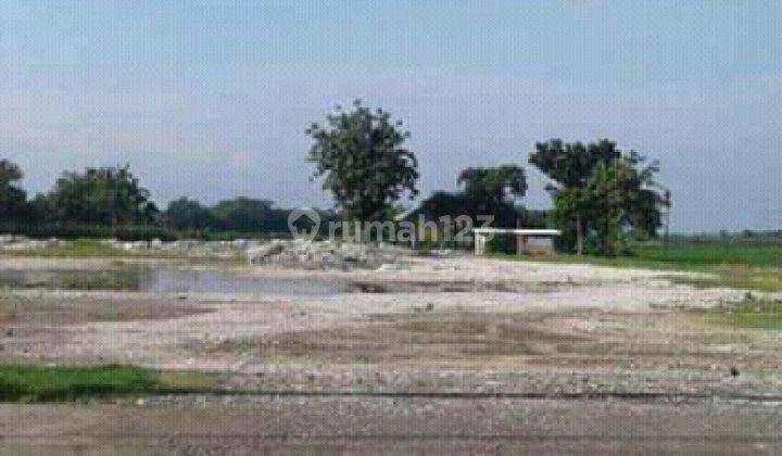 Dijual Tanah SHM 6940 m2 di Ds Dungboto Kec Prambon Kab Sidoarjo 2