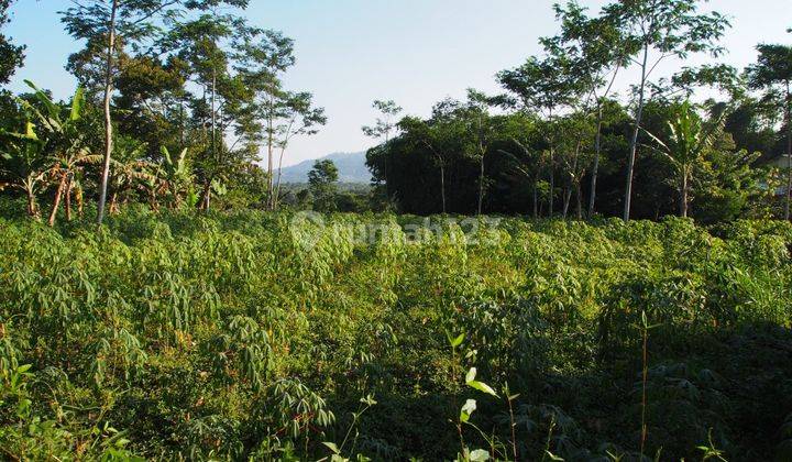 Tanah Pinggir Jalan Raya di Parakan Muncang 1