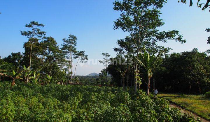 Tanah Pinggir Jalan Raya di Parakan Muncang 2