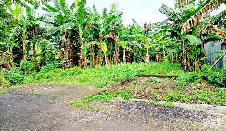 TANAH MURAH SIWALANKERTO SURABAYA  DEKAT KAMPUS PETRA  2