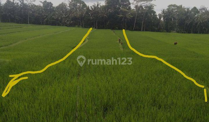 Tanah lingkungan villa keren di kliki view sawah abadi 1