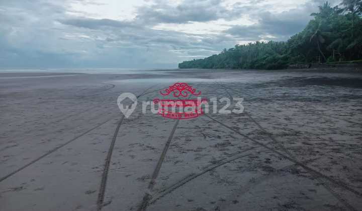 Tanah Jual Lokasi Pekutatan