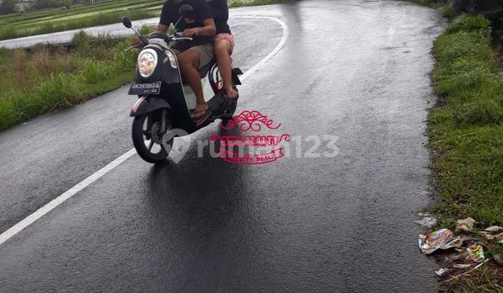 Tanah Jual Lokasi Rangkan Tanah Jual Lokasi Rangkan