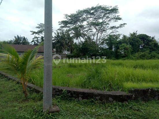 Tanah STRATEGIS DAN PREMIUM di RAYA LODTUNDUH Ubud  2