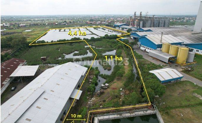 DIJUAL CEPAT TANAH KOSONG LUAS STRATEGIS DI DESA SAYUNG DEMAK, JAWA TENGAH 1