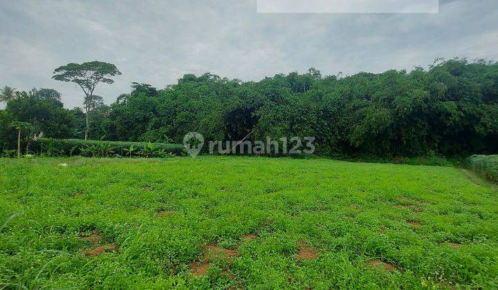 Tanah kosong dekat stasiun harga murah Cilebut Bojong Gede Depok 1