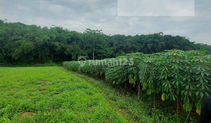 Tanah kosong dekat stasiun harga murah Cilebut Bojong Gede Depok 2