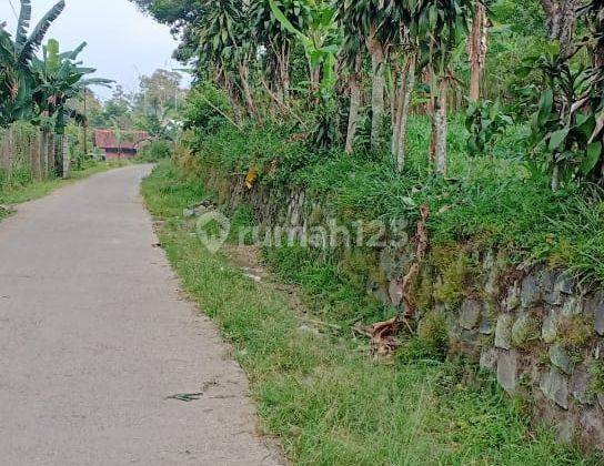 Tanah murah+bagus buat villa ataupun rumah diciburayut cigombong 1